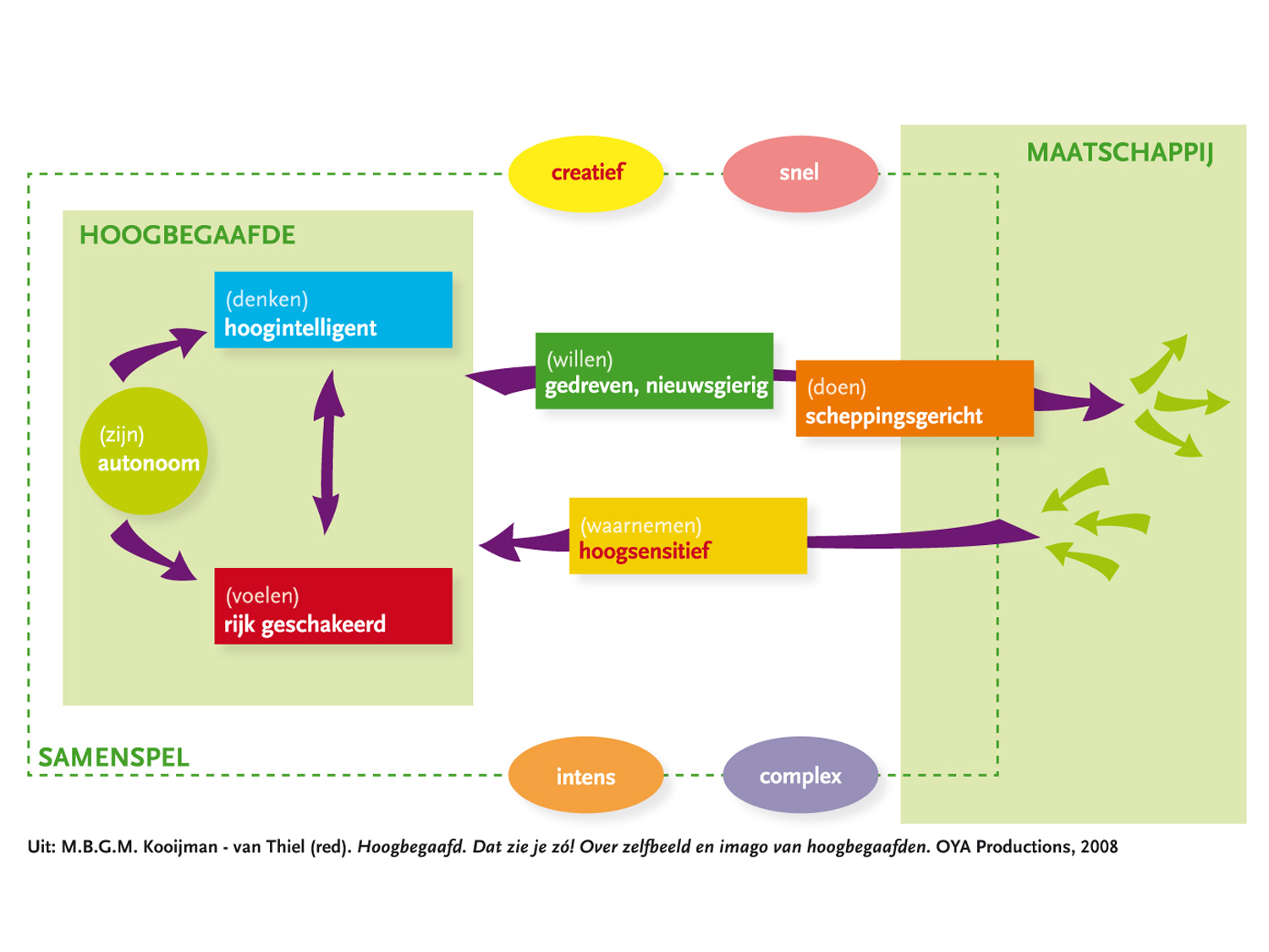 Delphimodel Hoogbegaafdheid